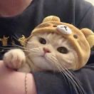 吴海轩 - 董事长