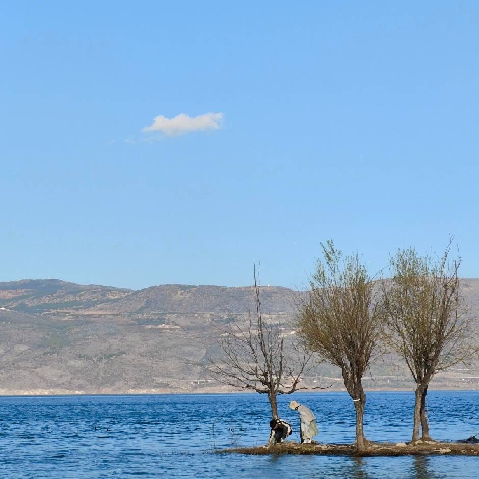 钟照成 - 首席领导