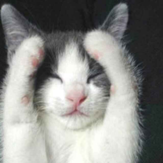 祁建锋 - 日本市场调研组