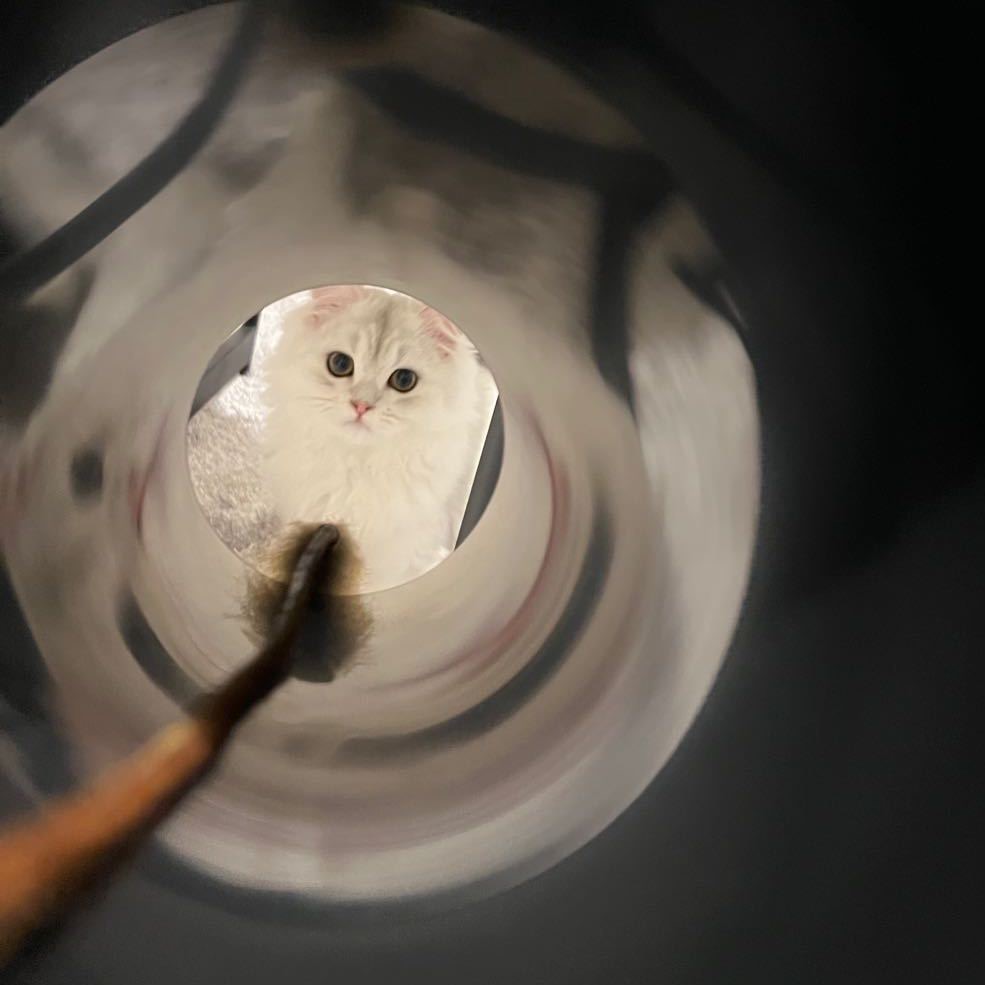 许允齐 - 台湾地区总代理